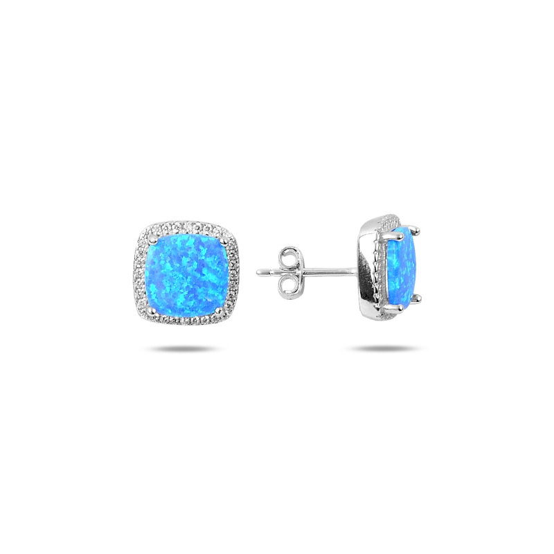 Opal & CZ Stud Earrings - E103653