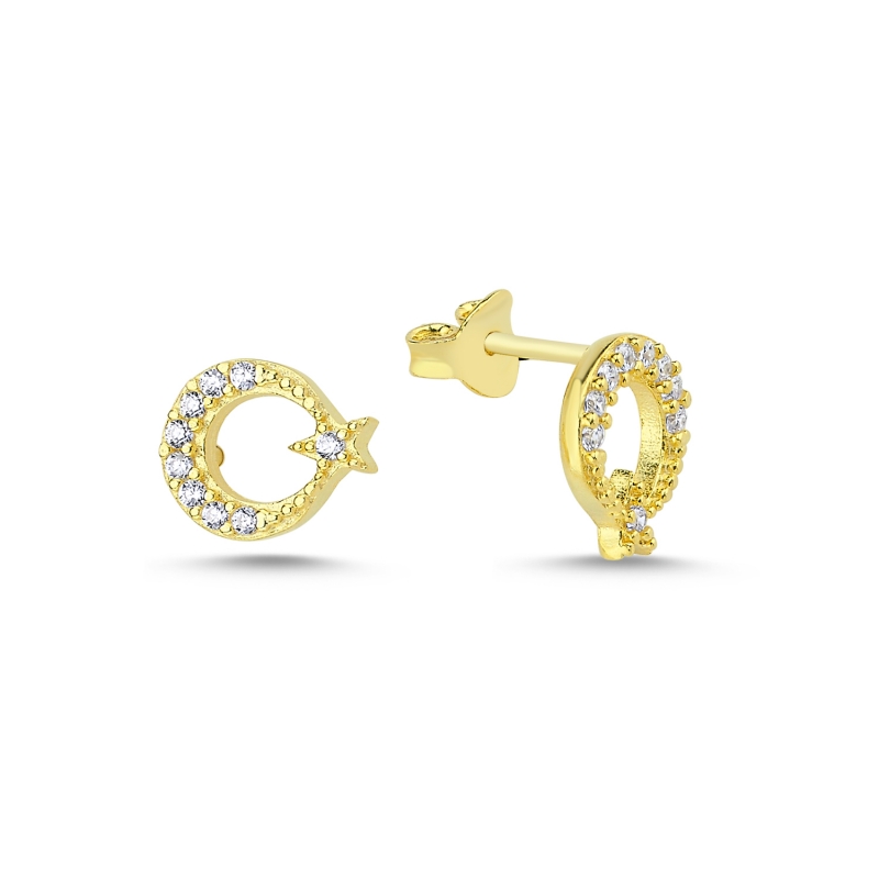 CZ Star And Crescent Stud Earrings - E104691