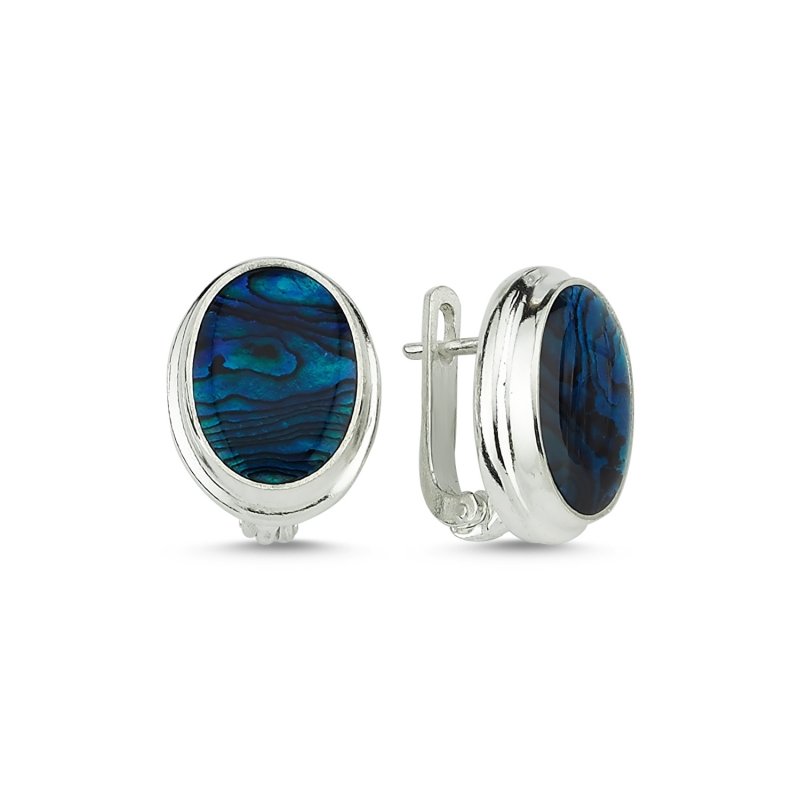 Abalone Handmade Earrings  - E83895