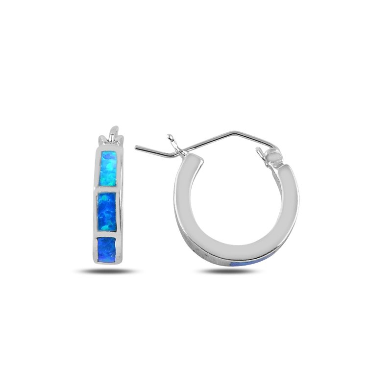 Opal Earrings - E88966