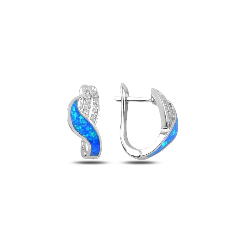 Opal Earrings - E88971