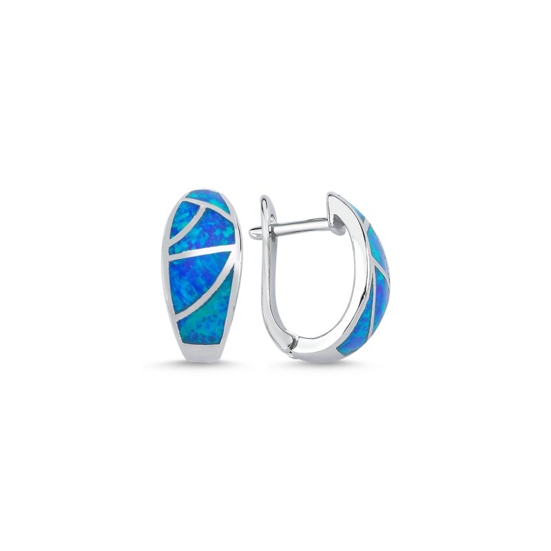 Opal Latch Back Earrings - E88973