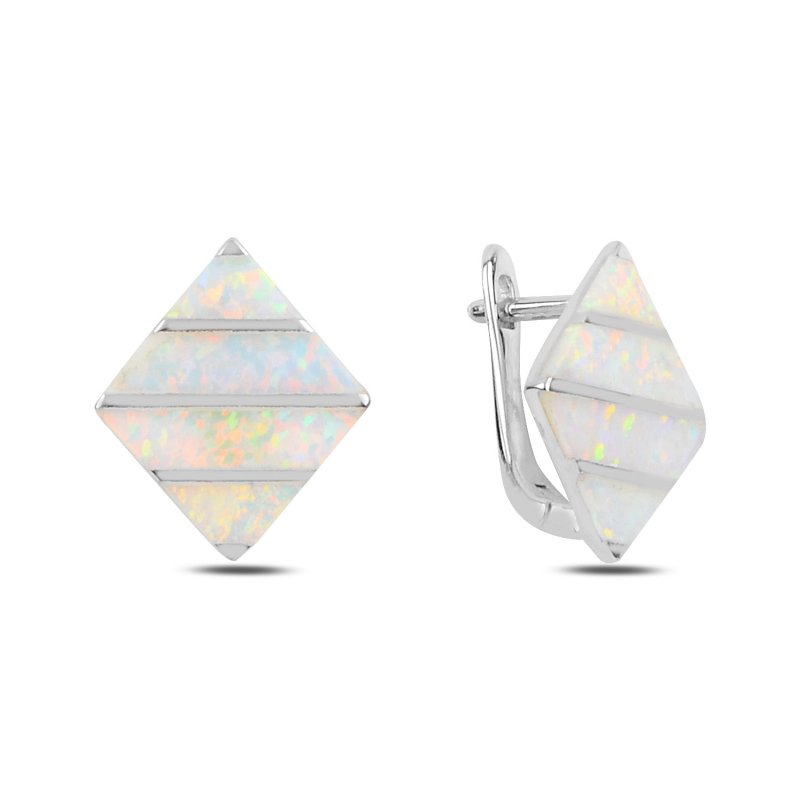 Opal Latch Back Earrings - E91532