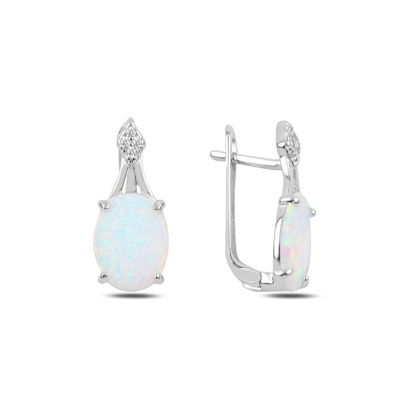 Opal & CZ Latch Back Earrings - E91546