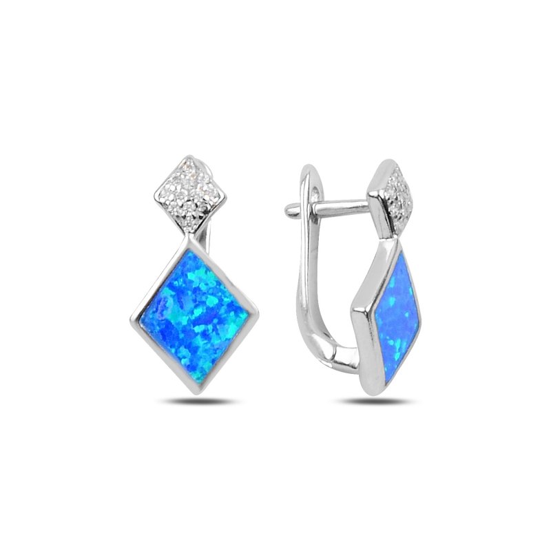 Opal & CZ Latch Back Earrings - E91616